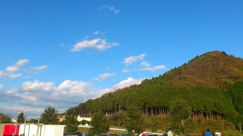 DSC_1177.jpg