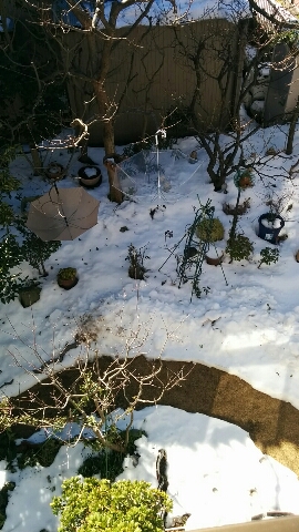 2014021615340100.jpg