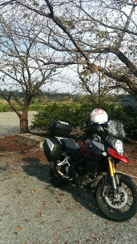 2014102713530300.jpg